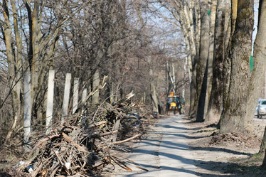 Similar image 20052609