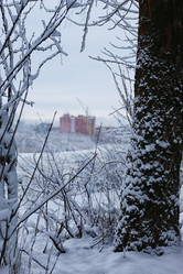 Similar image 20052618