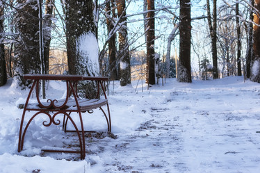 Similar image 20052619