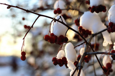 Similar image 20052621