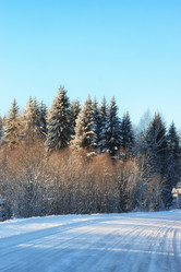 Similar image 20052622