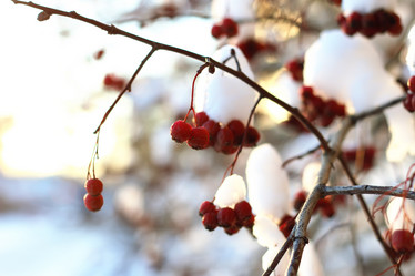 Similar image 20052623