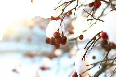 Similar image 20052624