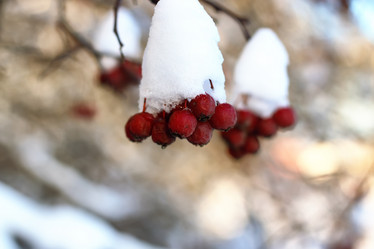 Similar image 20052625