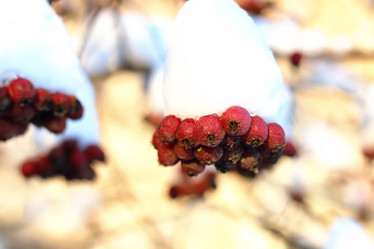 Similar image 20052626