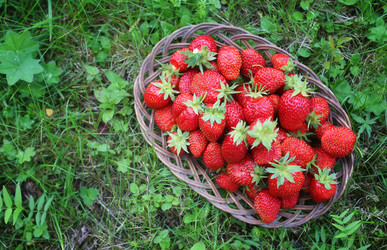 Similar image 20052635