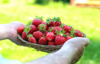 Similar image 20052637