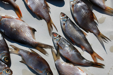 Similar image 20052638