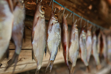 Similar image 20052640