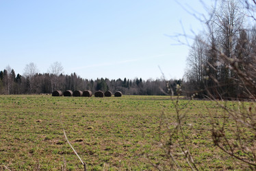 Similar image 20052641