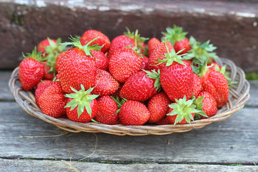 Similar image 20052645