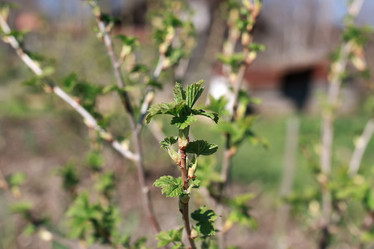 Similar image 20052647