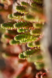 Similar image 20052648