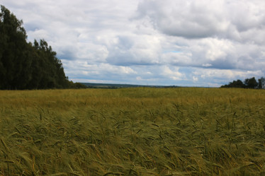 Similar image 20052657