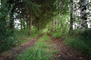 Similar image 20052663