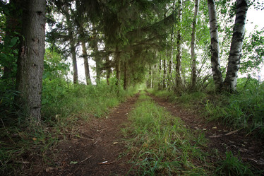 Similar image 20052664