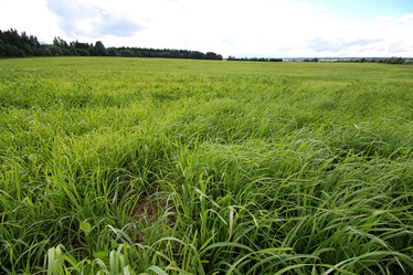 Similar image 20052667