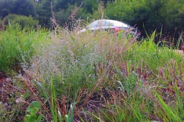 Similar image 20052685