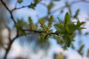 Similar image 20052689