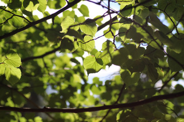 Similar image 20052690