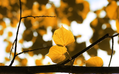 Similar image 20052691