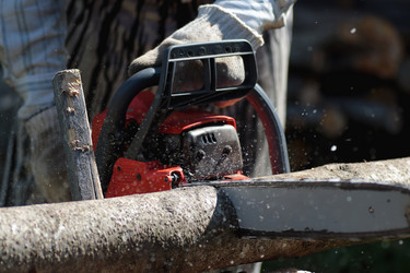 Similar image 20052711