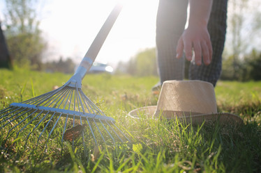 Similar image 20052716