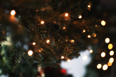 Similar image 20052723