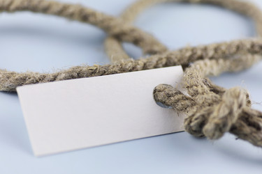 Similar image 20052769