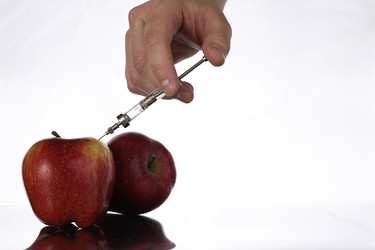 Similar image 20052784