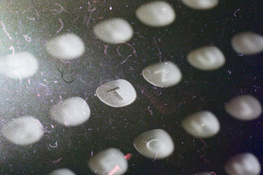 Similar image 20052828