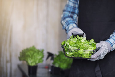 Similar image 20052846