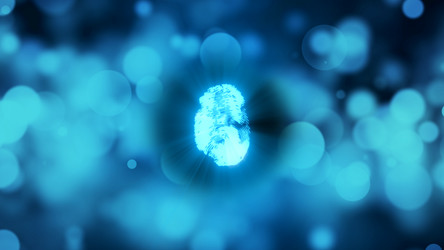 Similar image 19995398