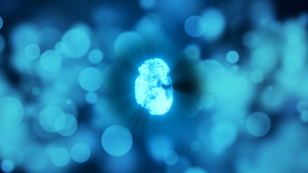 Similar image 19997507