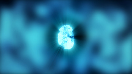 Similar image 19997166