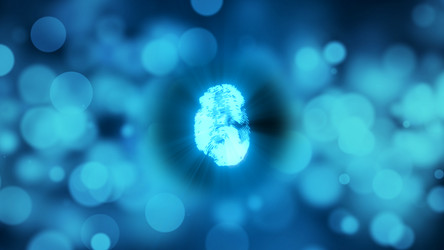 Similar image 19997168