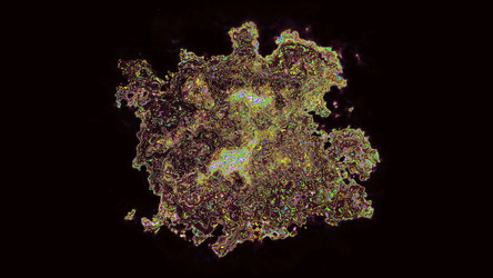 Similar image 19997495