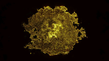 Similar image 19997543