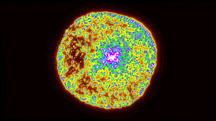 Similar image 19997736