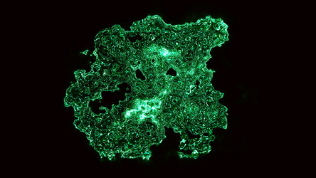 Similar image 19997796