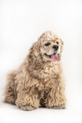 Similar image 19946359