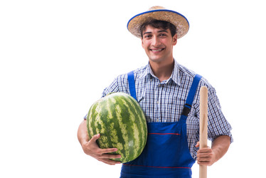 Similar image 20148706