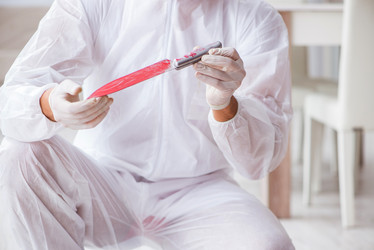 Similar image 19951303