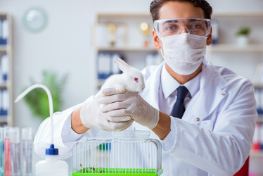 Similar image 19951379