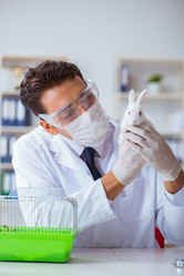 Similar image 19951383