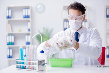 Similar image 19951385