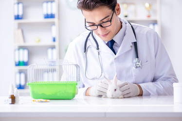 Similar image 19951415