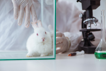 Similar image 19951419