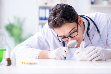 Similar image 19951422