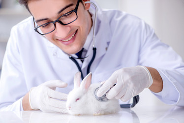 Similar image 19951444